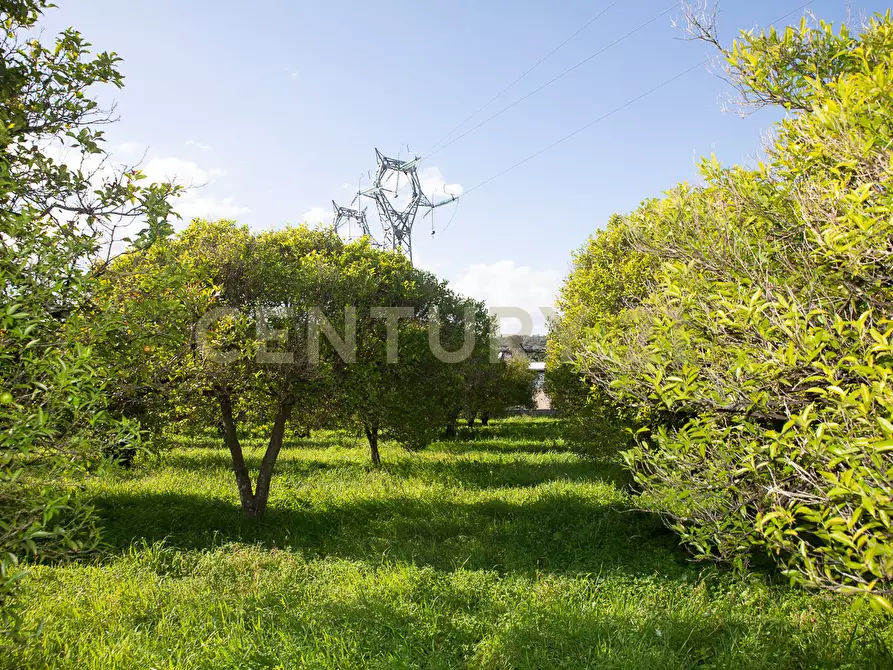 Immagine 21 di Terreno agricolo in vendita  in Via San Piero Patti 108 a Acireale