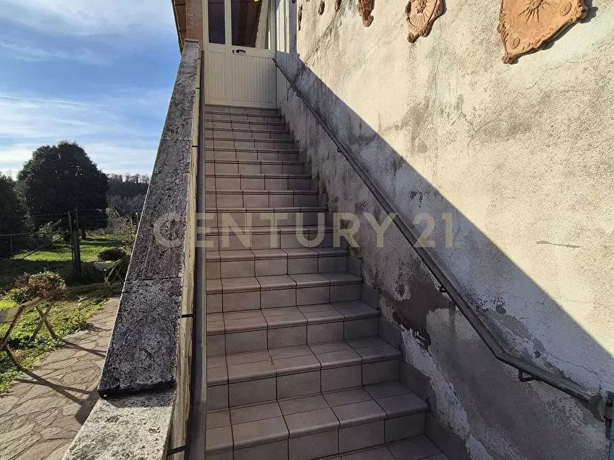 Immagine 3 di Rustico / casale in vendita  in località aratrice a Civitella Paganico