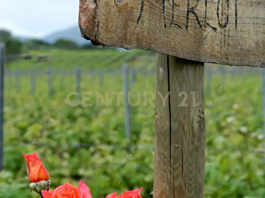 Immagine 30 di Rustico / casale in vendita  a Grosseto
