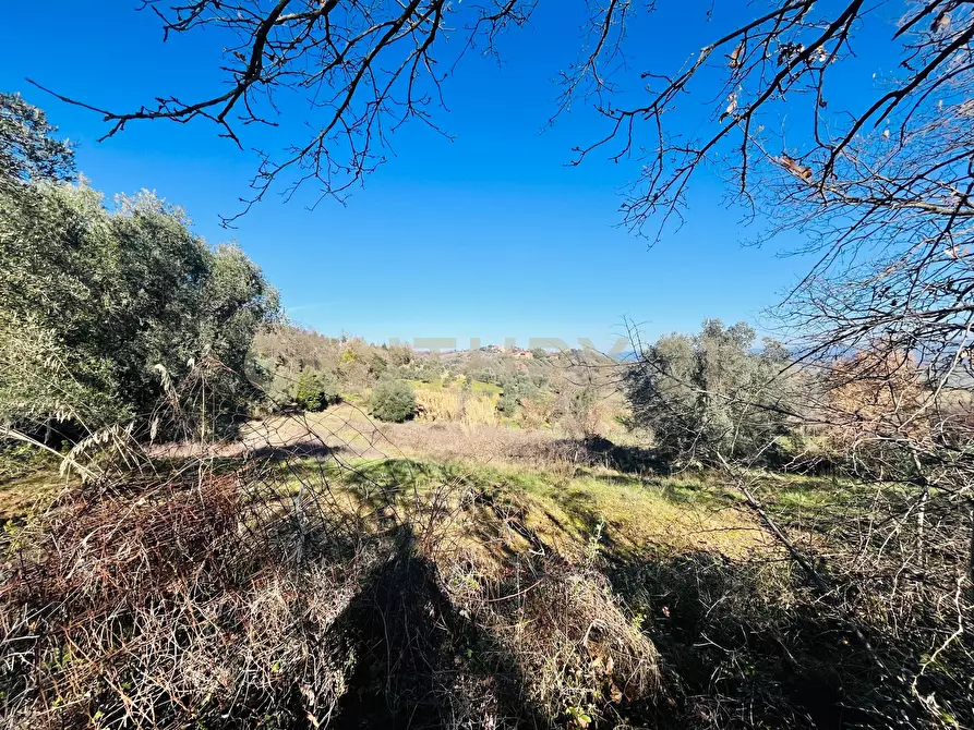 Immagine 5 di Casa bifamiliare in vendita  in località podere pelacane snc a Cinigiano