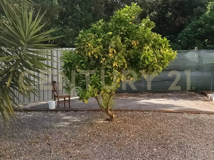 Immagine 43 di Rustico / casale in vendita  in località Sant'Andrea 17 a Gavorrano