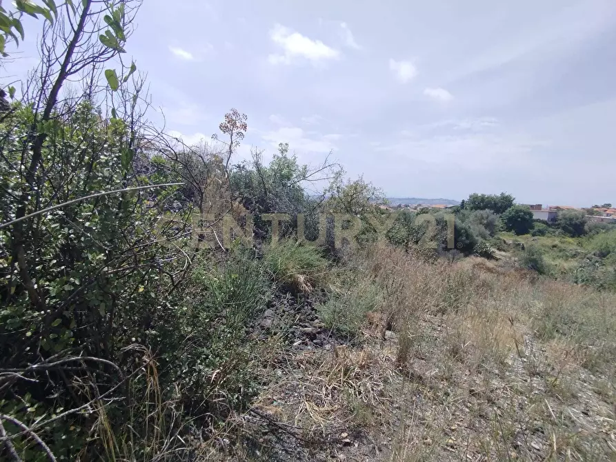 Immagine 6 di Terreno agricolo in vendita  in CONTRADA MANGIONE snc a Catania