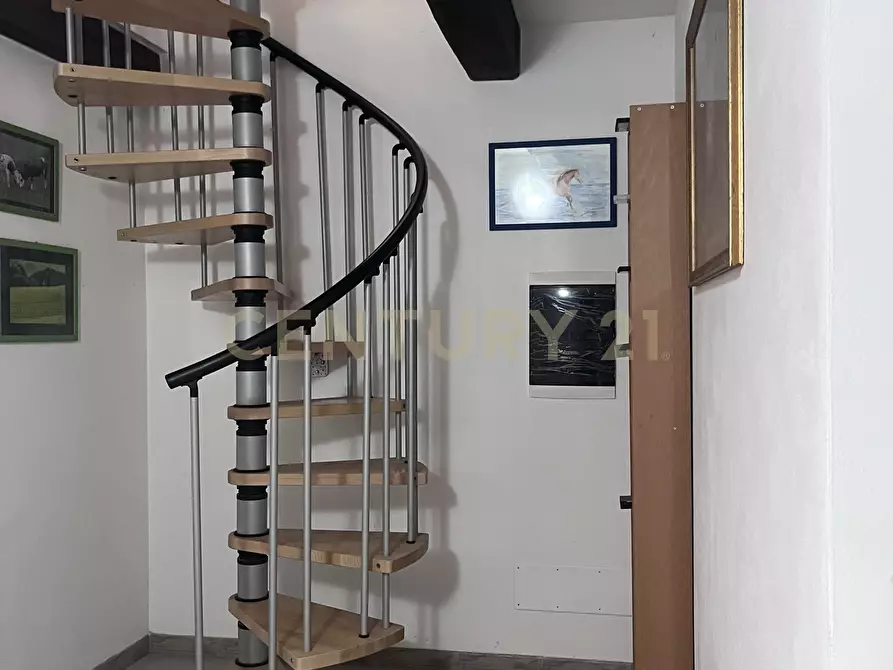 Immagine 20 di Rustico / casale in vendita  in poggio murella a Manciano