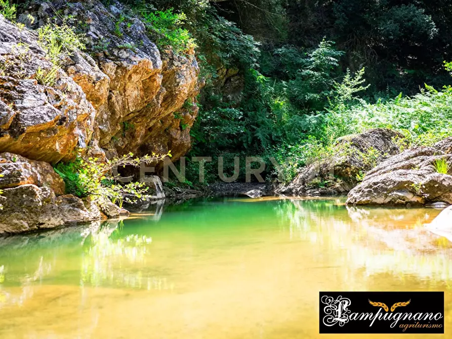 Immagine 21 di Rustico / casale in vendita  in agriturismo lampugnano 47 a Civitella Paganico