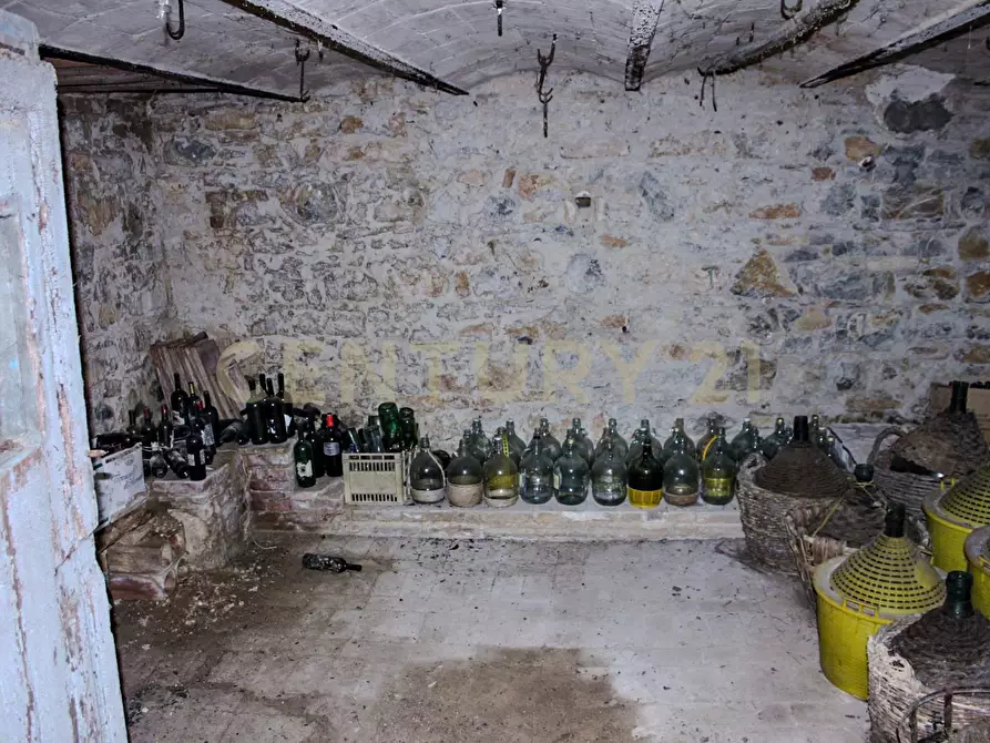 Immagine 18 di Rustico / casale in vendita  in Località Preselle sp 159 a Scansano