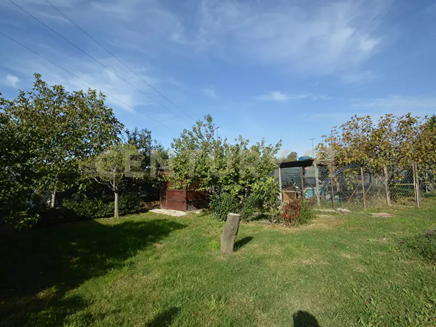 Immagine 23 di Terreno agricolo in vendita  in Via Alberto Sordi 12 a Grosseto