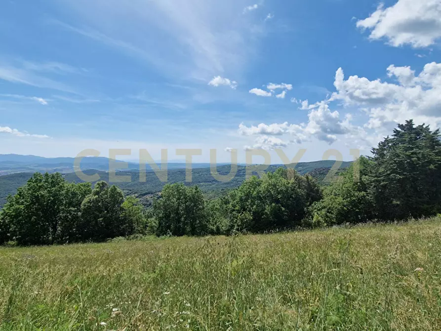 Immagine 1 di Rustico / casale in vendita  a Roccastrada