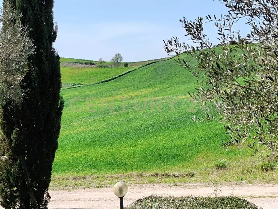 Immagine 17 di Rustico / casale in vendita  in località spinicci snc a Manciano