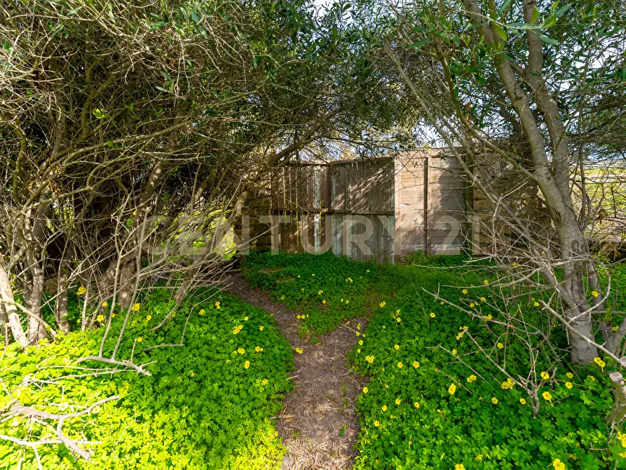 Immagine 2 di Terreno agricolo in vendita  in Contrada Vaccarizzo a Catania
