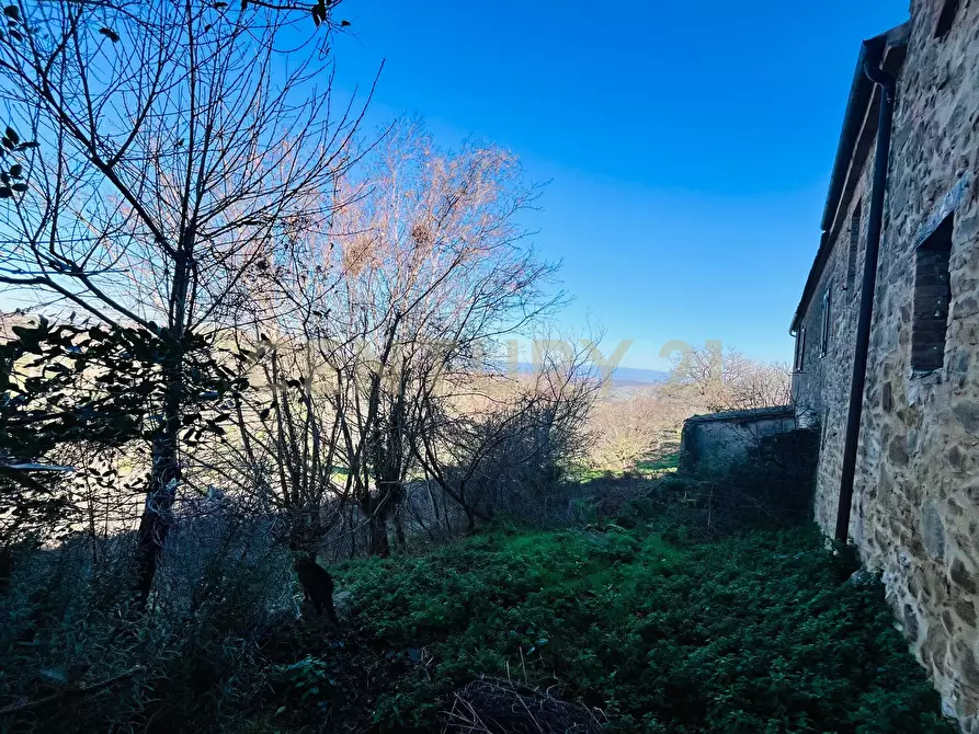 Immagine 27 di Casa bifamiliare in vendita  in località podere pelacane snc a Cinigiano