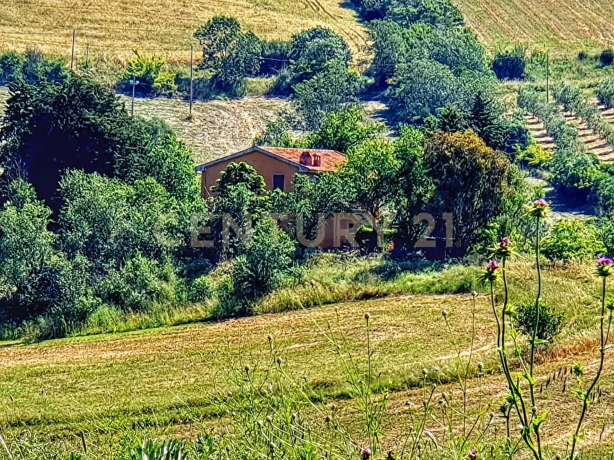 Immagine 13 di Rustico / casale in vendita  in Strada Provinciale Aquilaia a Scansano