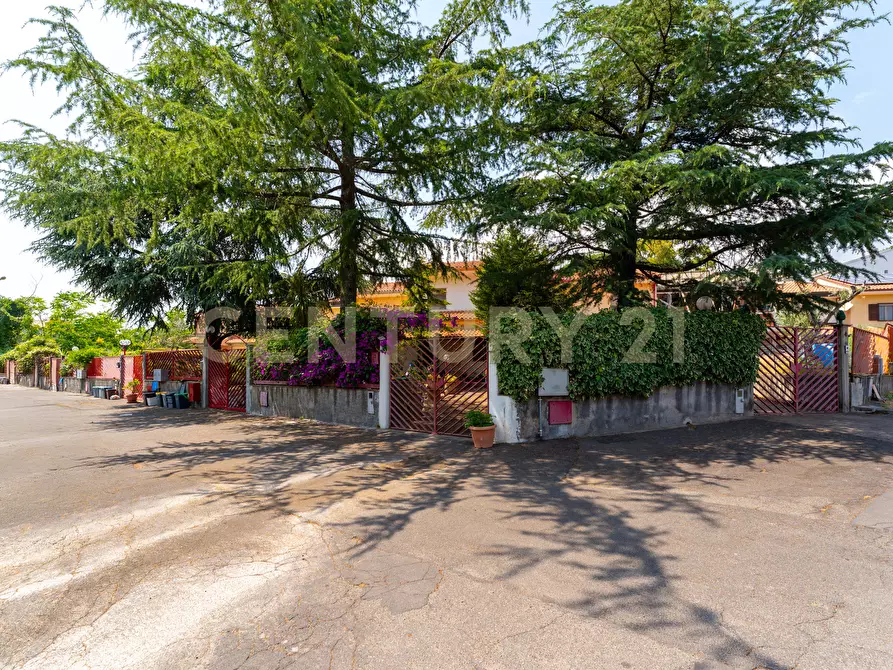 Immagine 4 di Villa in vendita  in Via Libertà 1 a Mascalucia