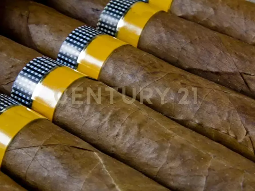 Immagine 4 di Tabaccheria in vendita  in Via della Regione Siciliana snc a Gioiosa Marea