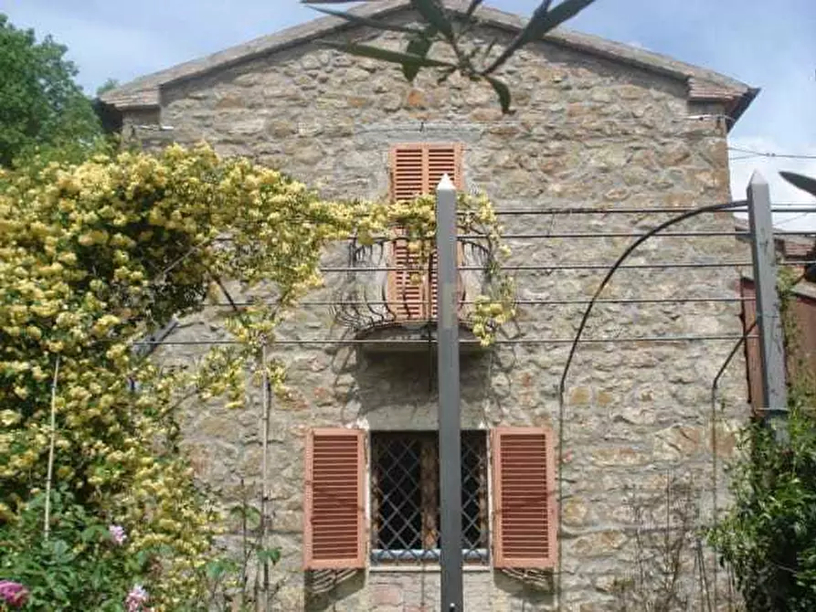 Immagine 8 di Villa in vendita  in Località Poggio Murella 68 a Manciano