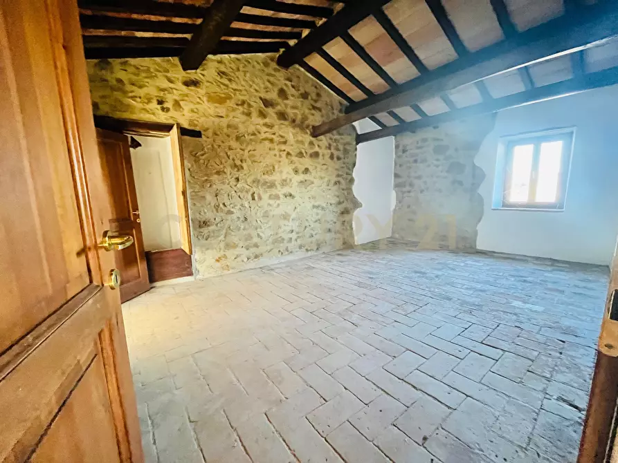 Immagine 23 di Casa bifamiliare in vendita  in località podere pelacane snc a Cinigiano