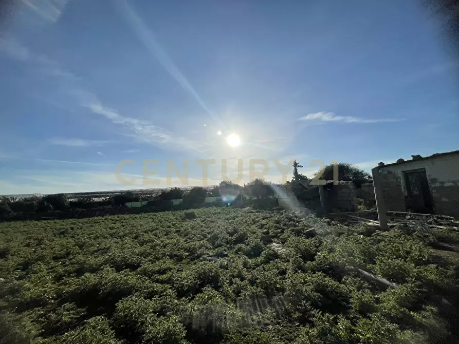 Immagine 21 di Terreno agricolo in vendita  in CONTRADA CORRIDORE CAMPANA SNC a Portopalo Di Capo Passero