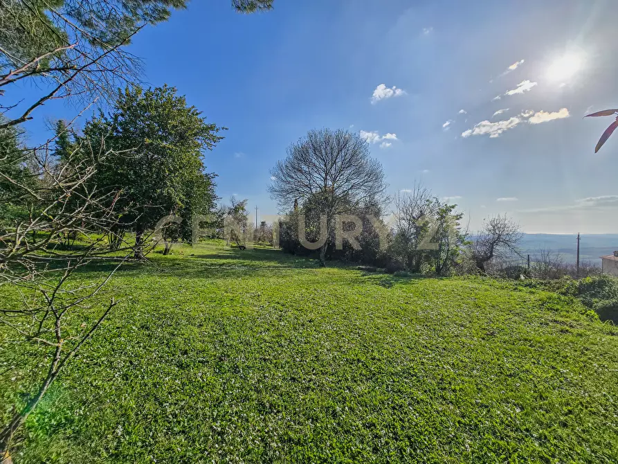 Immagine 5 di Villa in vendita  in Località Poggio Murella 68 a Manciano