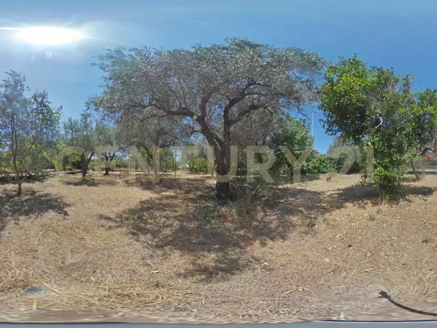 Immagine 47 di Terreno edificabile in vendita  in Via Piano del Conte 21 a Mascalucia