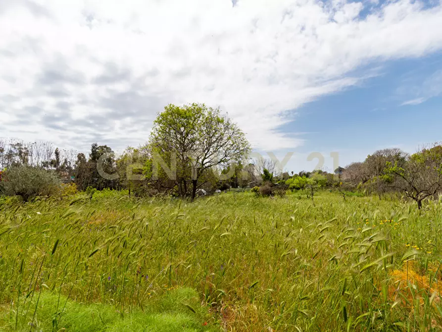 Immagine 30 di Terreno industriale in vendita  in Via dei Belfiore 4 a Valverde