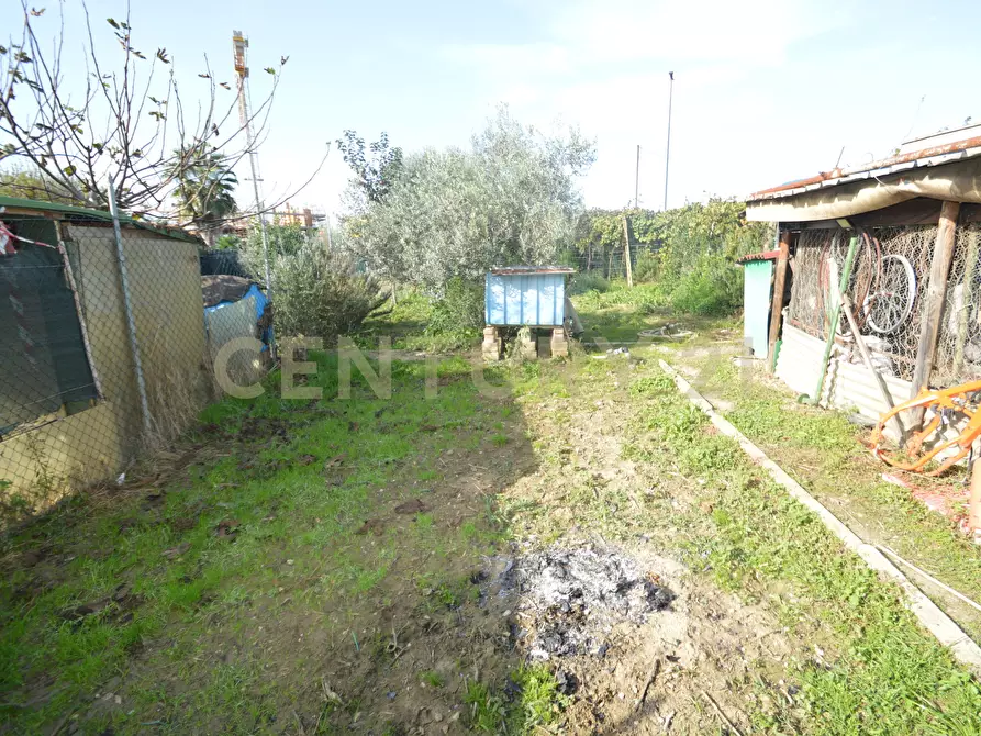 Immagine 14 di Terreno agricolo in vendita  in Via Alberto Sordi 12 a Grosseto