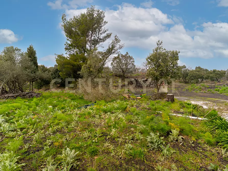 Immagine 43 di Villa in vendita  in SP155 82 a Mascali