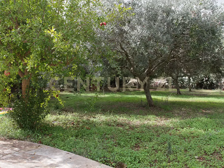 Immagine 20 di Villa in vendita  in Ctr. Pirato Cava Maria 37 a Modica