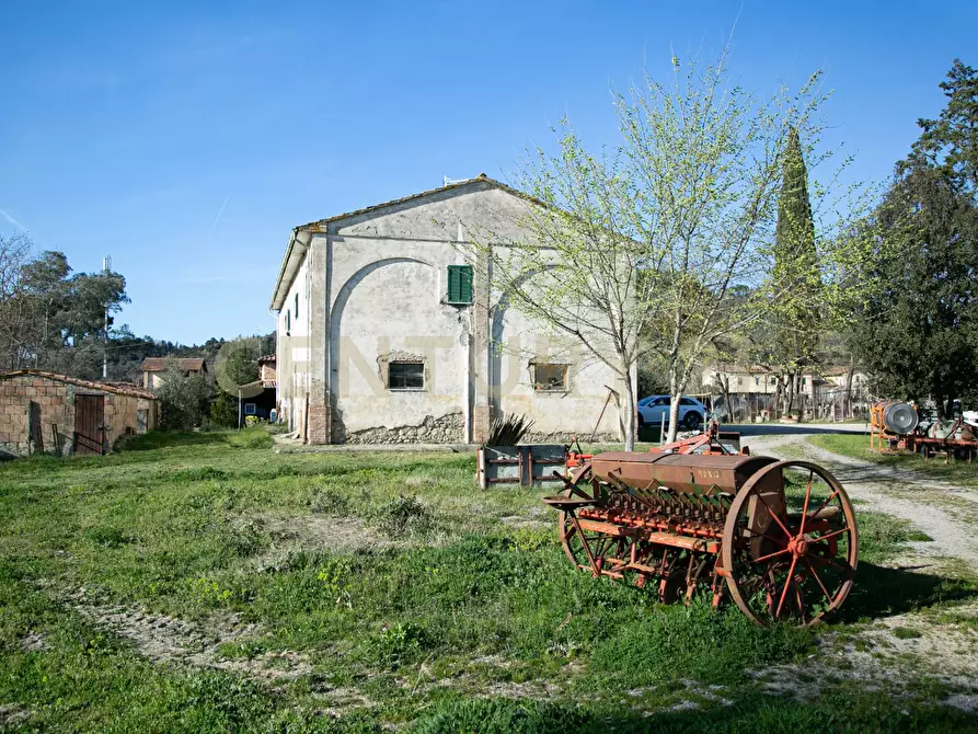 Immagine 2 di Rustico / casale in vendita  a Civitella Paganico