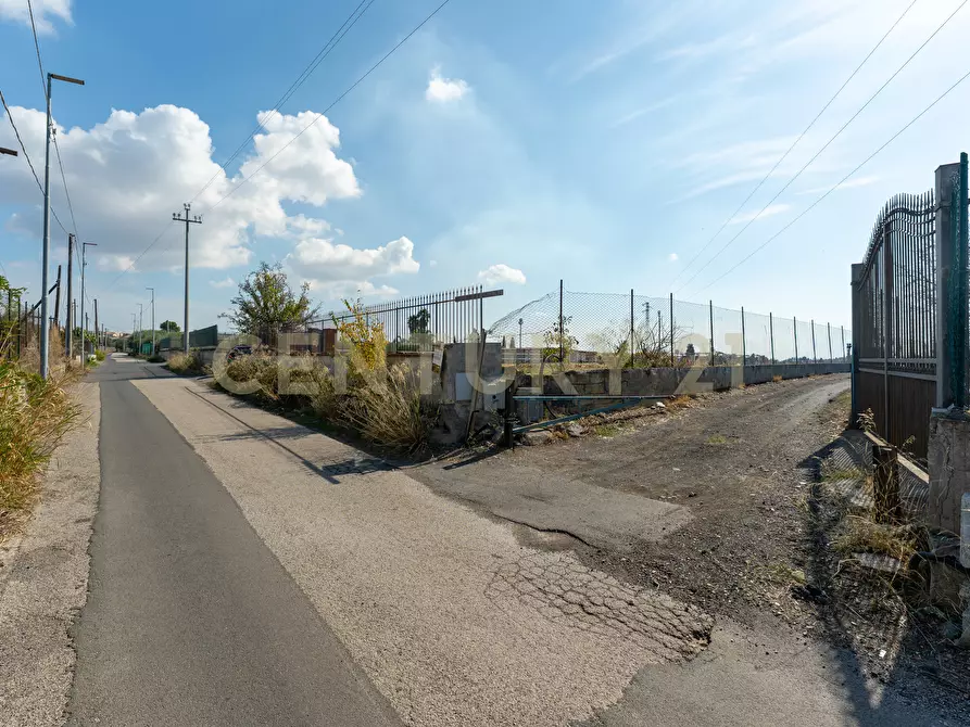 Immagine 22 di Terreno agricolo in vendita  in Via Margarone 5 a Motta Sant'anastasia