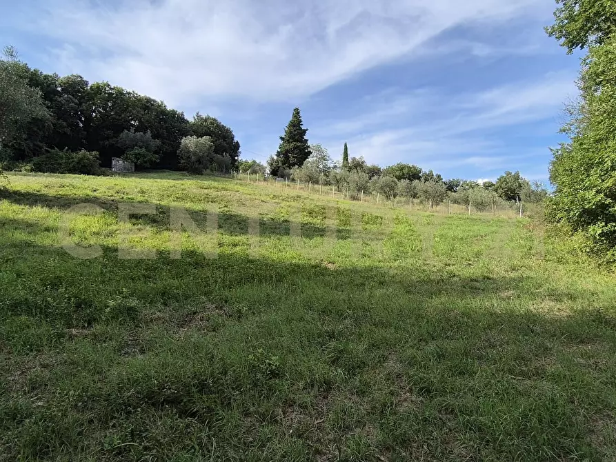 Immagine 5 di Rustico / casale in vendita  in località vignaccia a Civitella Paganico