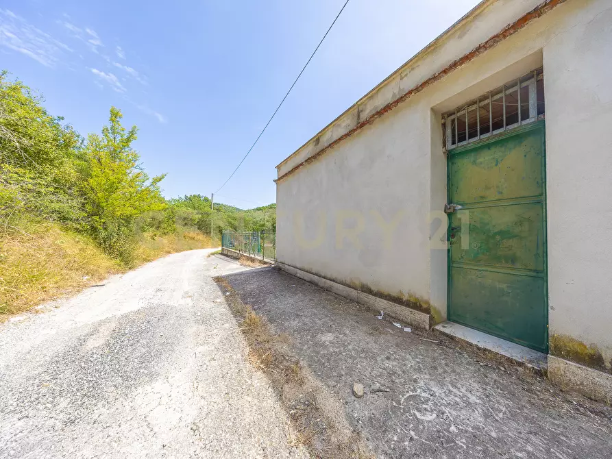 Immagine 41 di Rustico / casale in vendita  in via mercorano 1 a San Gregorio Da Sassola