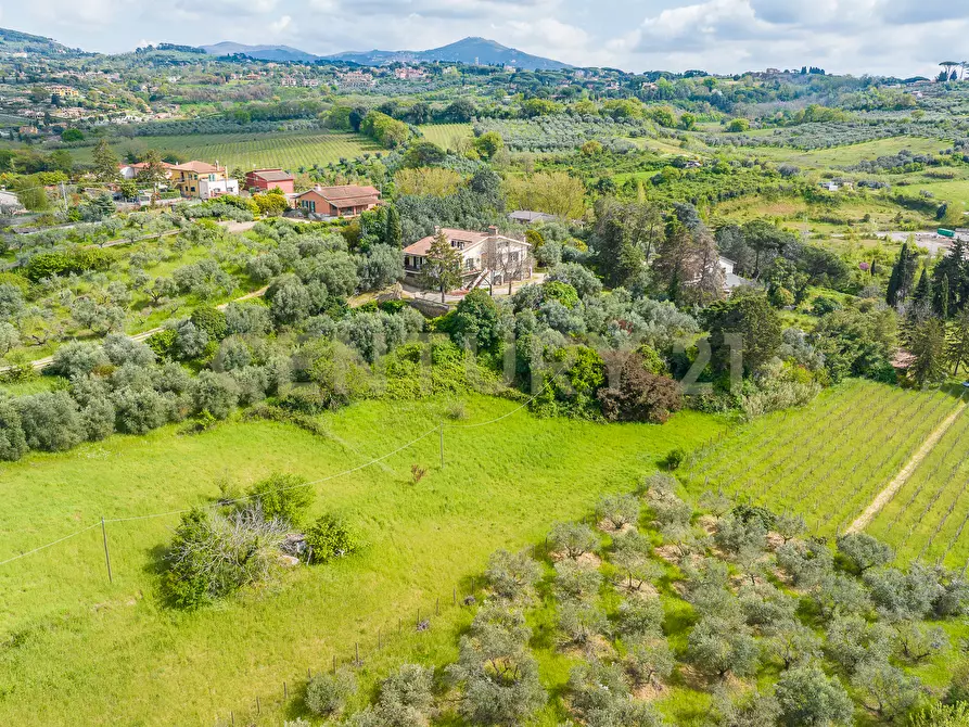 Immagine 16 di Casa indipendente in vendita  in Via di Grotte Maria 67 a Frascati