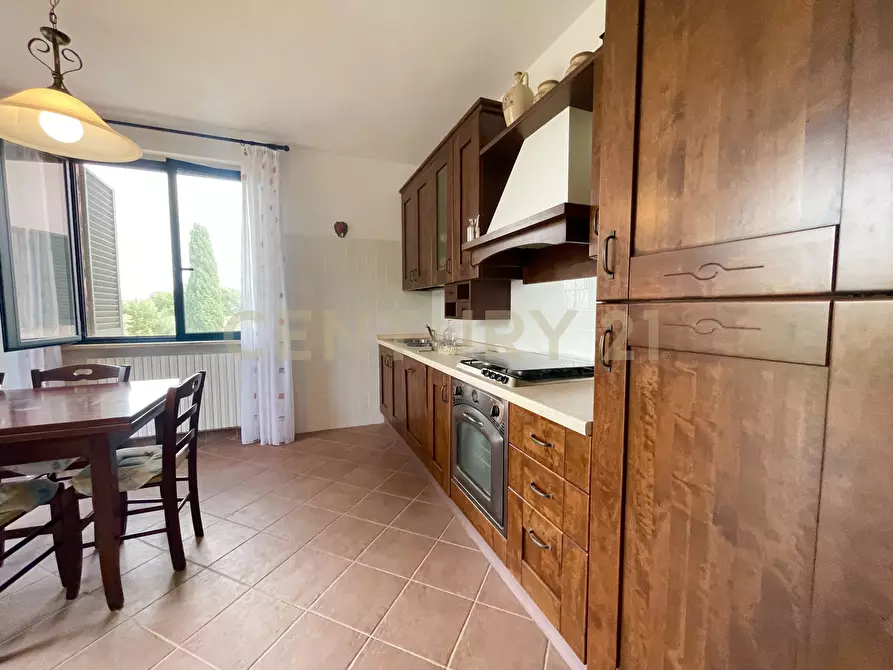 Immagine 19 di Azienda agricola in vendita  in località colle di lupo a Magliano In Toscana