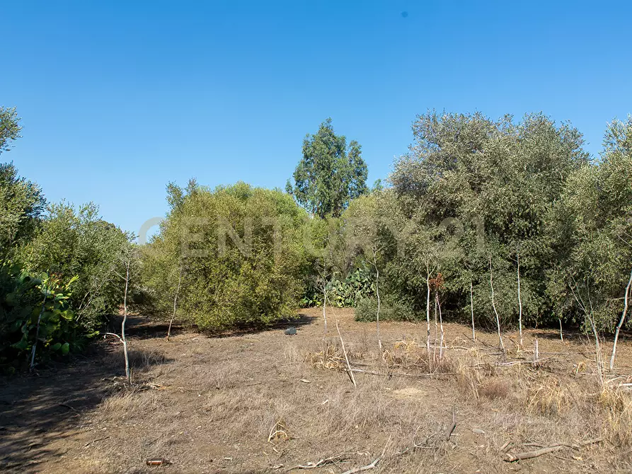 Immagine 14 di Terreno edificabile in vendita  in CONTRA FURERIA snc a Belpasso