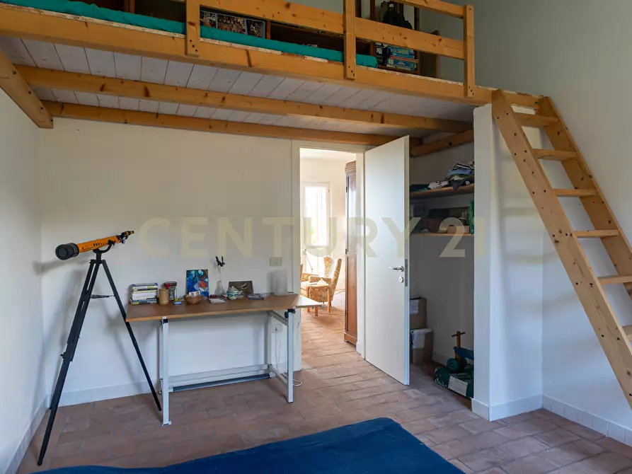 Immagine 19 di Villa in vendita  in Località Valle Maggiore 1 a Magliano In Toscana