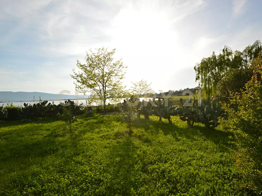 Immagine 6 di Terreno agricolo in vendita  in Loc. quattrostrade a Orbetello