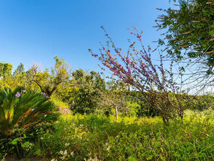 Immagine 85 di Villa in vendita  in Via Alcaloro Petrone 47 a Viagrande