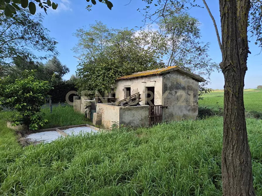 Immagine 14 di Rustico / casale in vendita  in Via Luciano Raveggi 6 a Orbetello