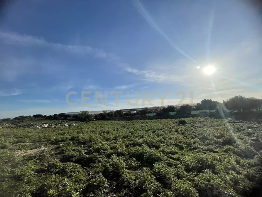 Immagine 22 di Terreno agricolo in vendita  in CONTRADA CORRIDORE CAMPANA SNC a Portopalo Di Capo Passero