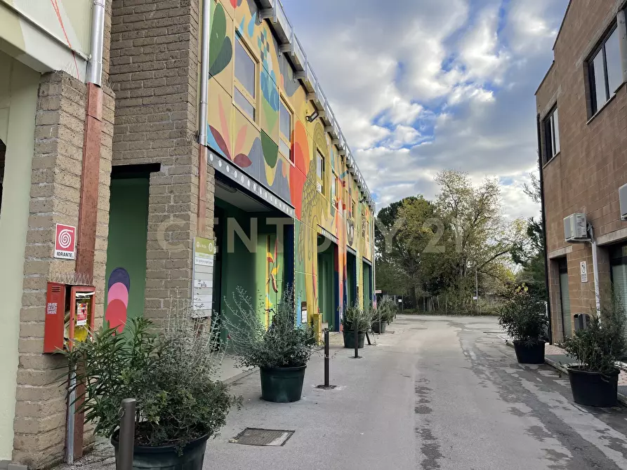 Immagine 3 di Ufficio in vendita  in Via de Barberi 108 a Grosseto