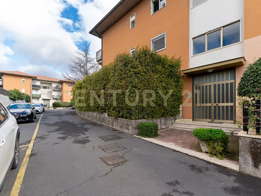 Immagine 10 di Trilocale in vendita  in Via Tremestieri 16 a Mascalucia