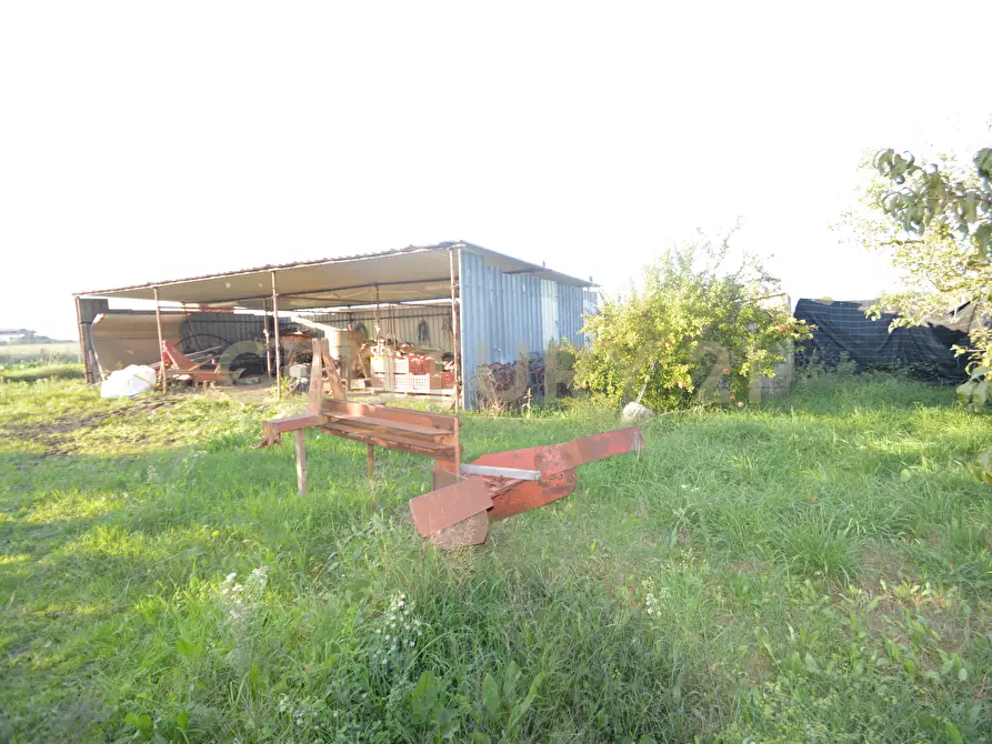 Immagine 2 di Terreno agricolo in vendita  in Strada del Querciolo 125 a Grosseto