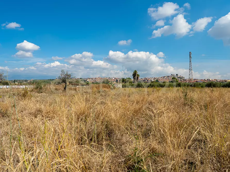 Immagine 11 di Terreno agricolo in vendita  in Via Margarone 5 a Motta Sant'anastasia