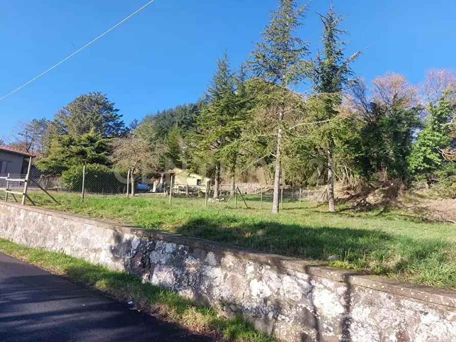 Immagine 15 di Loft/Open space in vendita  in via fonte antese snc a Radicofani