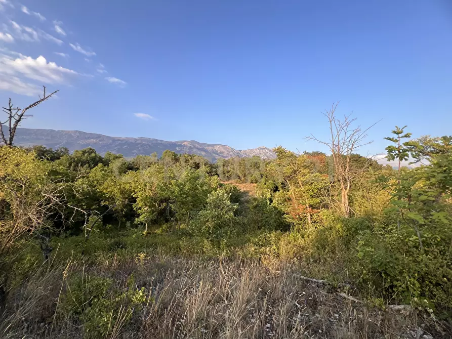 Immagine 8 di Terreno agricolo in vendita  in Via Acquasanta 27 a Sulmona