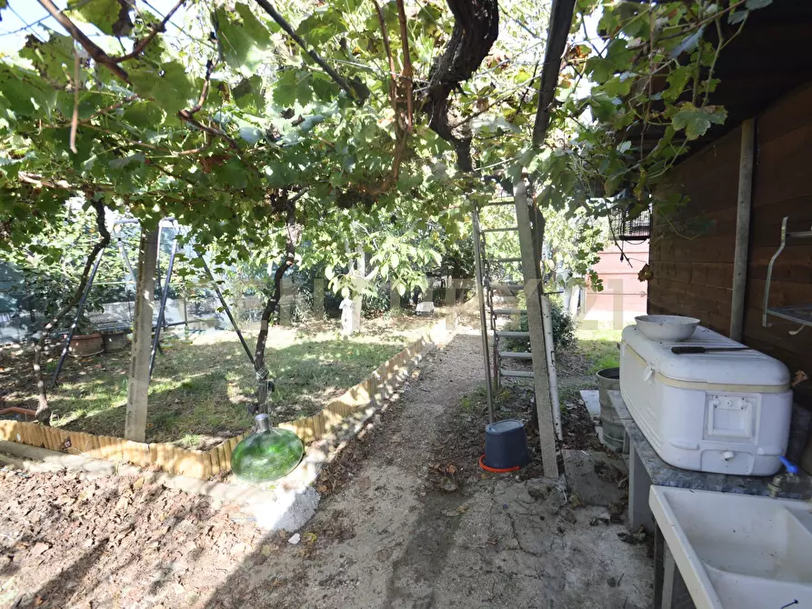 Immagine 5 di Terreno agricolo in vendita  in Via Alberto Sordi 12 a Grosseto