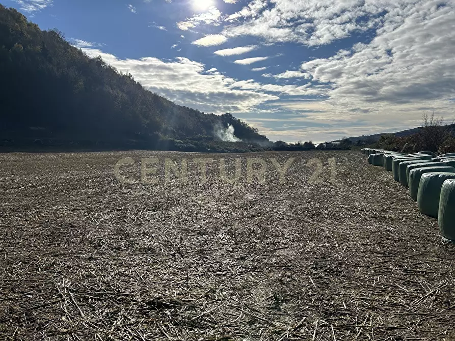 Immagine 2 di Terreno edificabile in vendita  in Via Don Giovanni Calabria a Tregnago