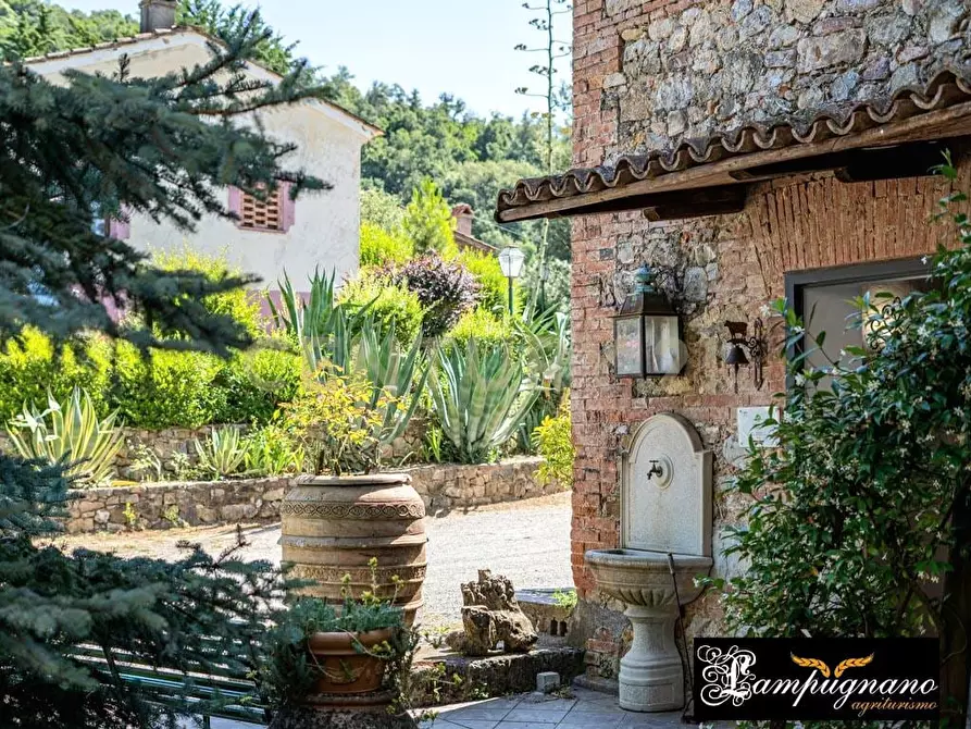 Immagine 59 di Rustico / casale in vendita  in agriturismo lampugnano 47 a Civitella Paganico