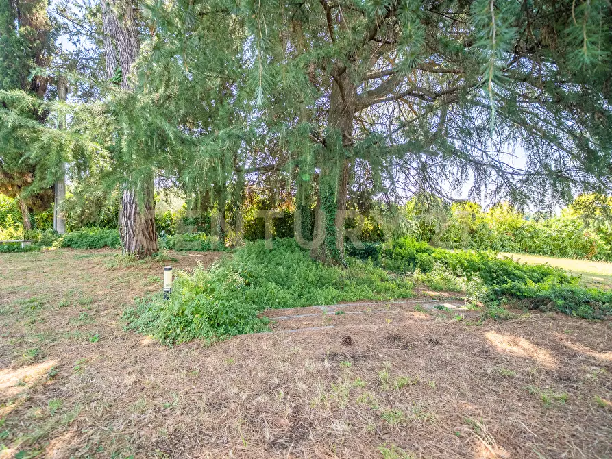 Immagine 30 di Villa in vendita  in Via Pedemontana 319 a Palestrina
