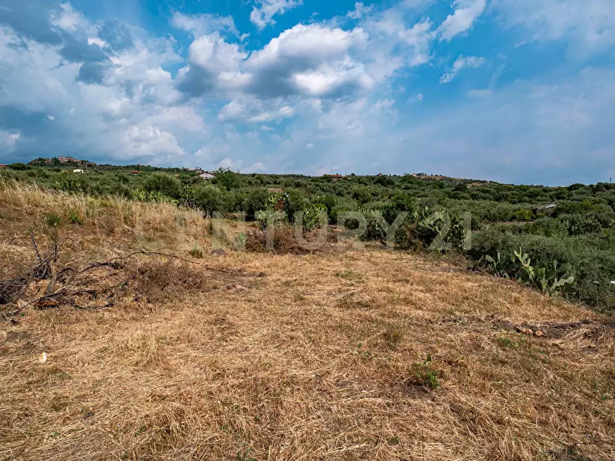 Immagine 42 di Terreno agricolo in vendita  in Via San Leo a Adrano