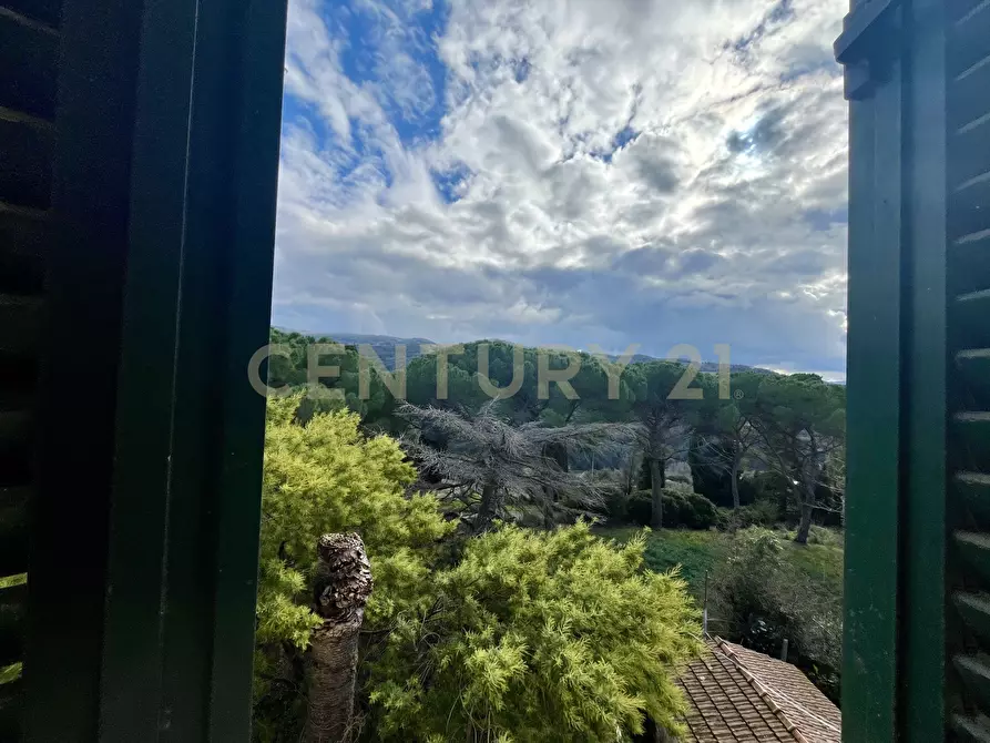 Immagine 12 di Pentalocale in vendita  in località casini a Scansano